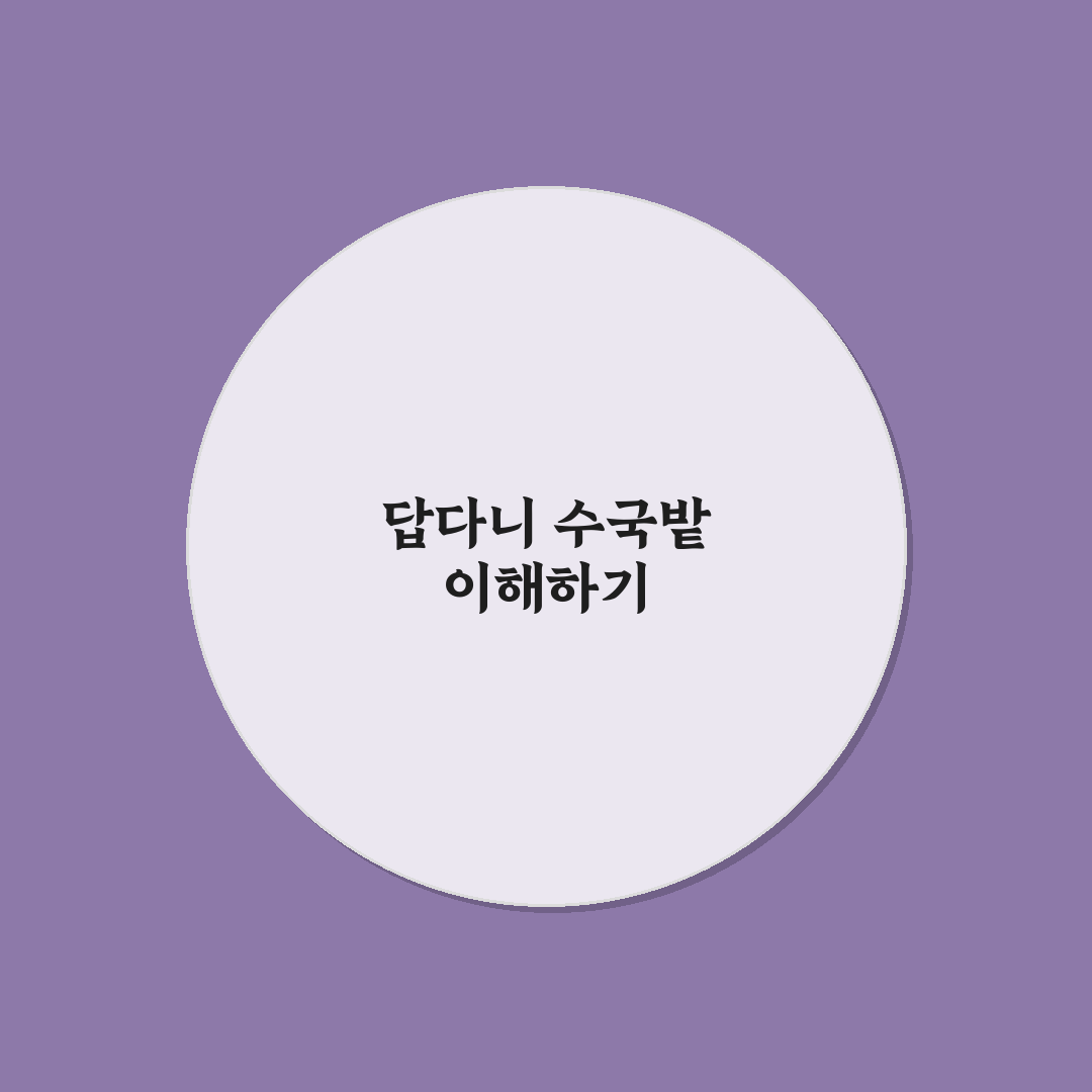 답다니 수국밭 분석과 관리 체크포인트 총정리