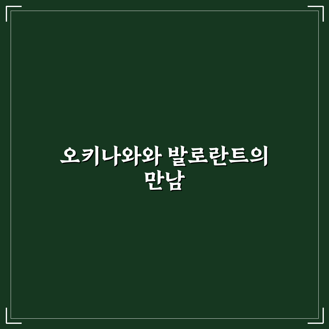 오키나와 발로란트 플레이 환경 비교와 최적화 가이드