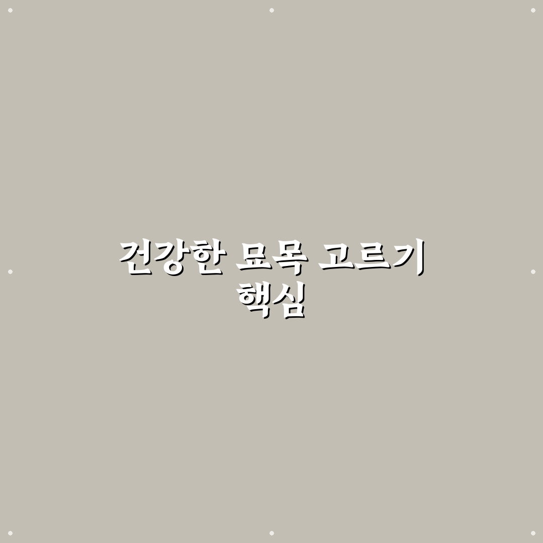 개복숭아 묘목 선택과 관리 5가지 기준 비교 분석