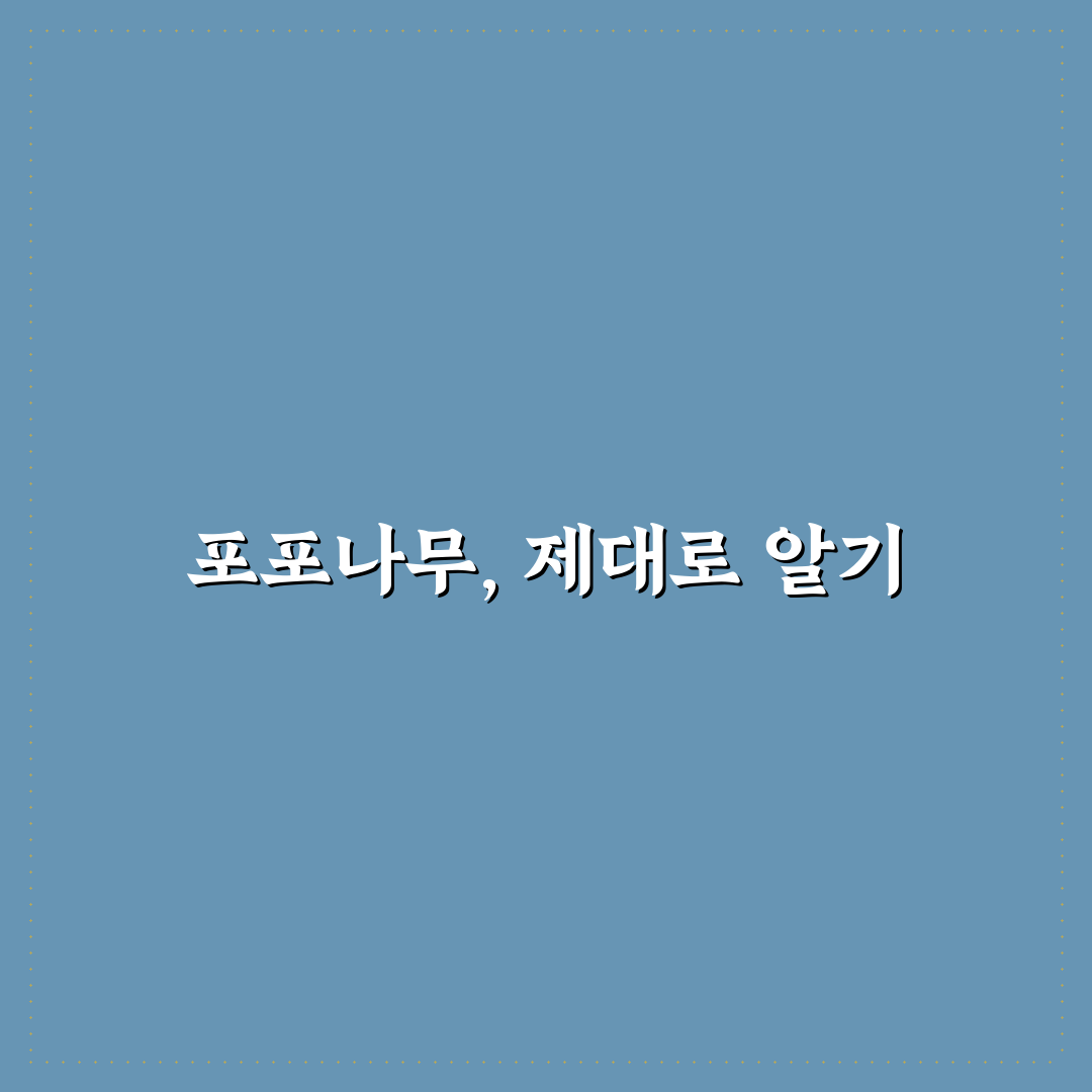 포포나무키우기 5가지 체크포인트와 환경별 비교 방법