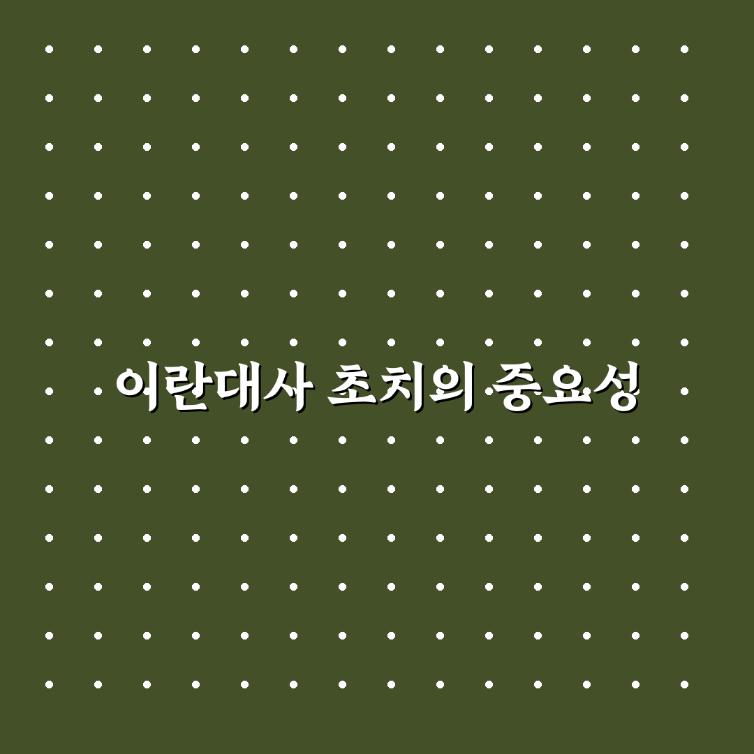 이란대사 초치 상황별 대응 기준과 분석 총정리