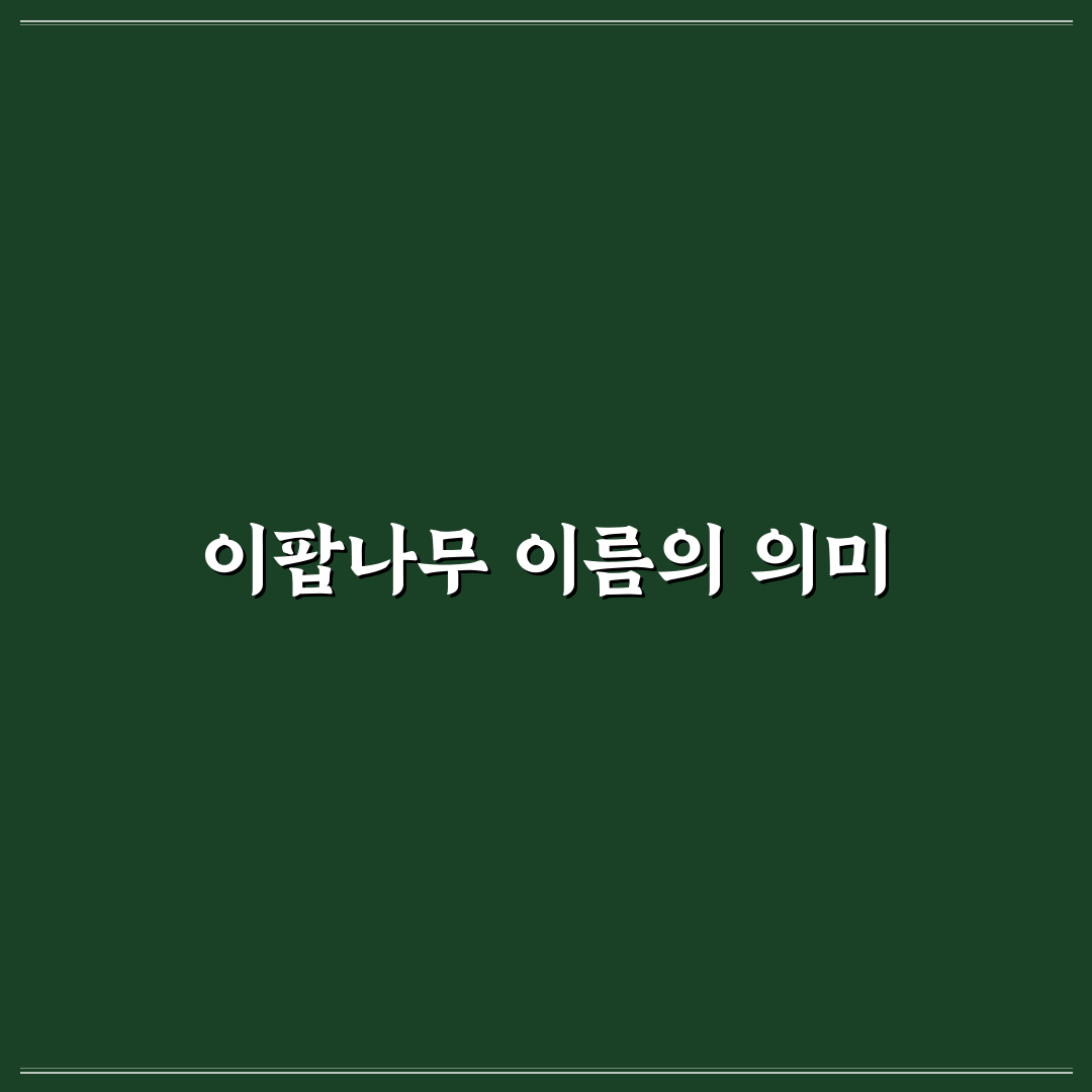 이팝나무 어원과 특징 비교를 통한 정확한 판단 가이드