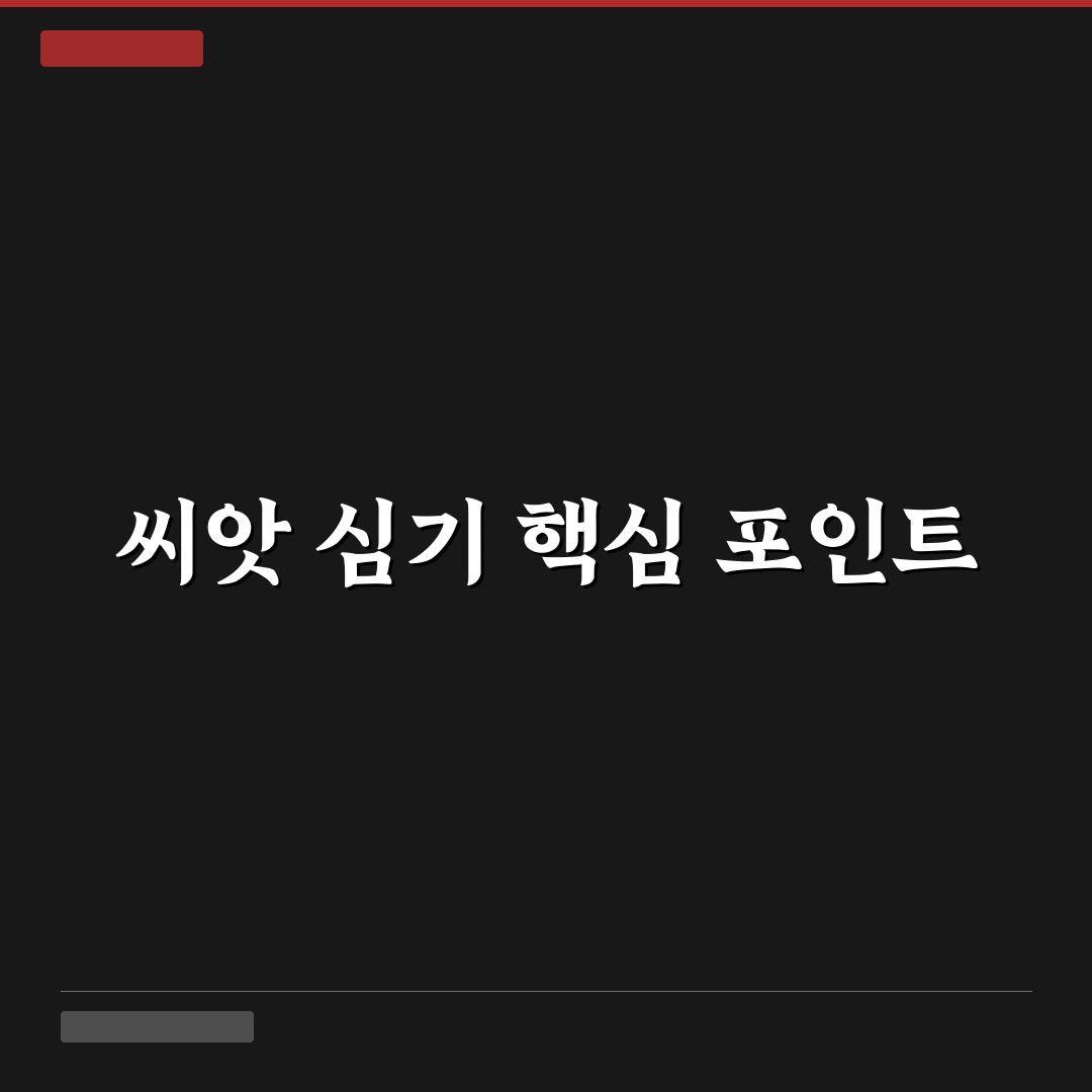 양귀비꽃 씨앗 파종방법 5가지 기준과 성공 가이드