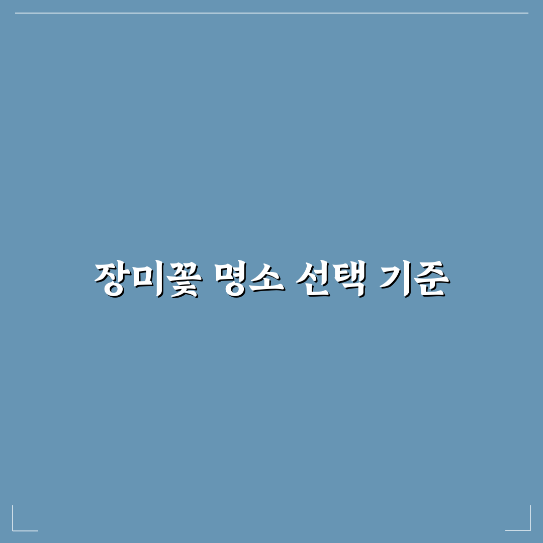 제주 장미꽃 명소 5가지 비교와 방문 전 체크포인트
