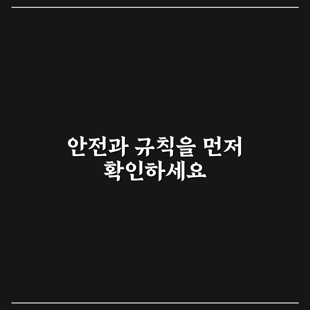 남이섬 킥보드 이용 시 체크포인트 5가지 분석과 판단