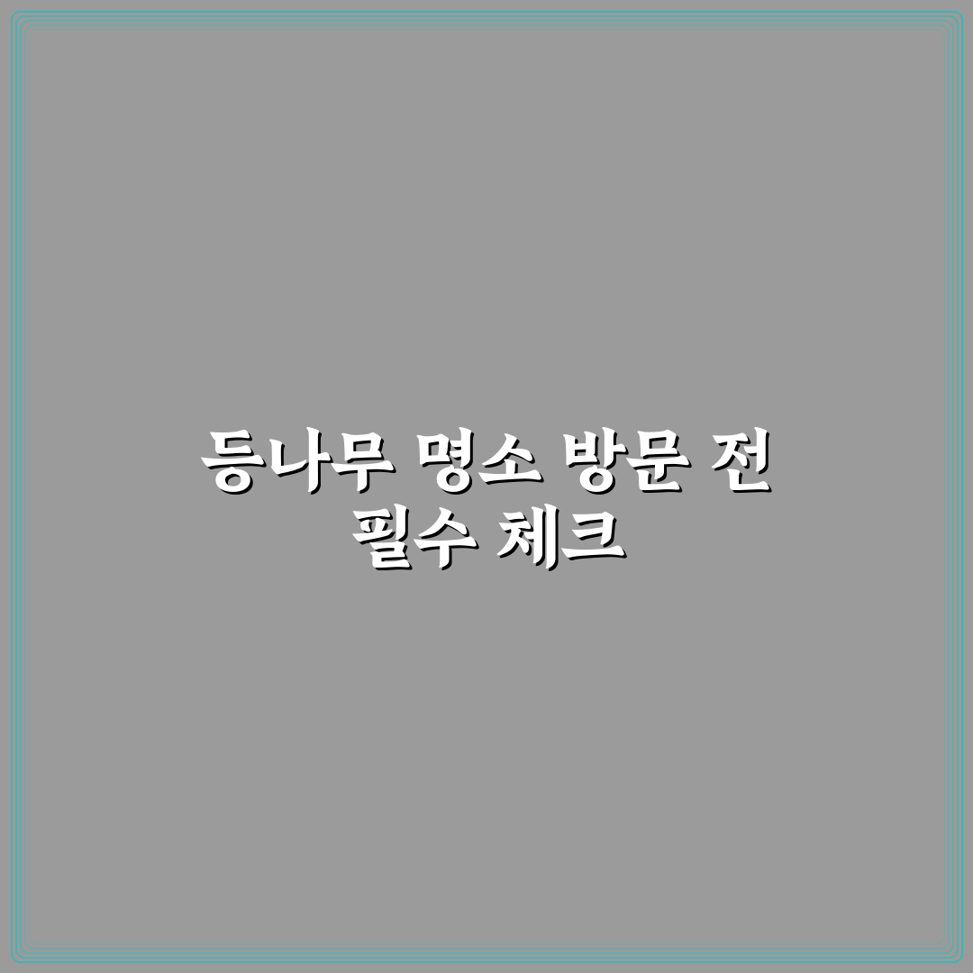 일본 등나무 명소 5가지 비교와 방문 기준 총정리
