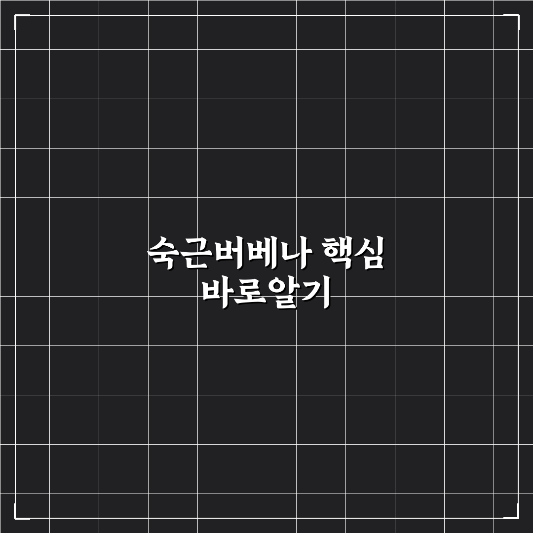 숙근버베나 선택 가이드와 관리 기준 총정리