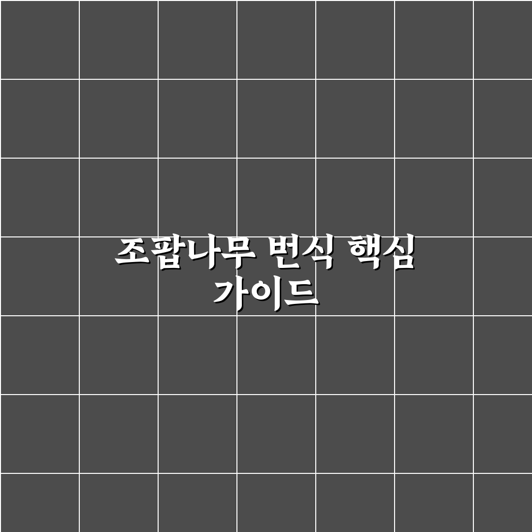 조팝나무 번식방법 비교와 성공률 체크포인트 총정리