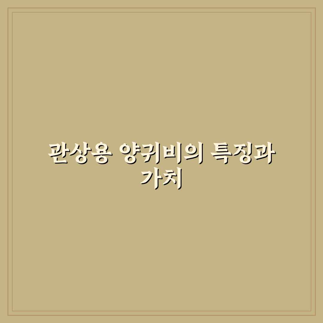 관상용 양귀비 차이와 선택 기준 5가지 분석