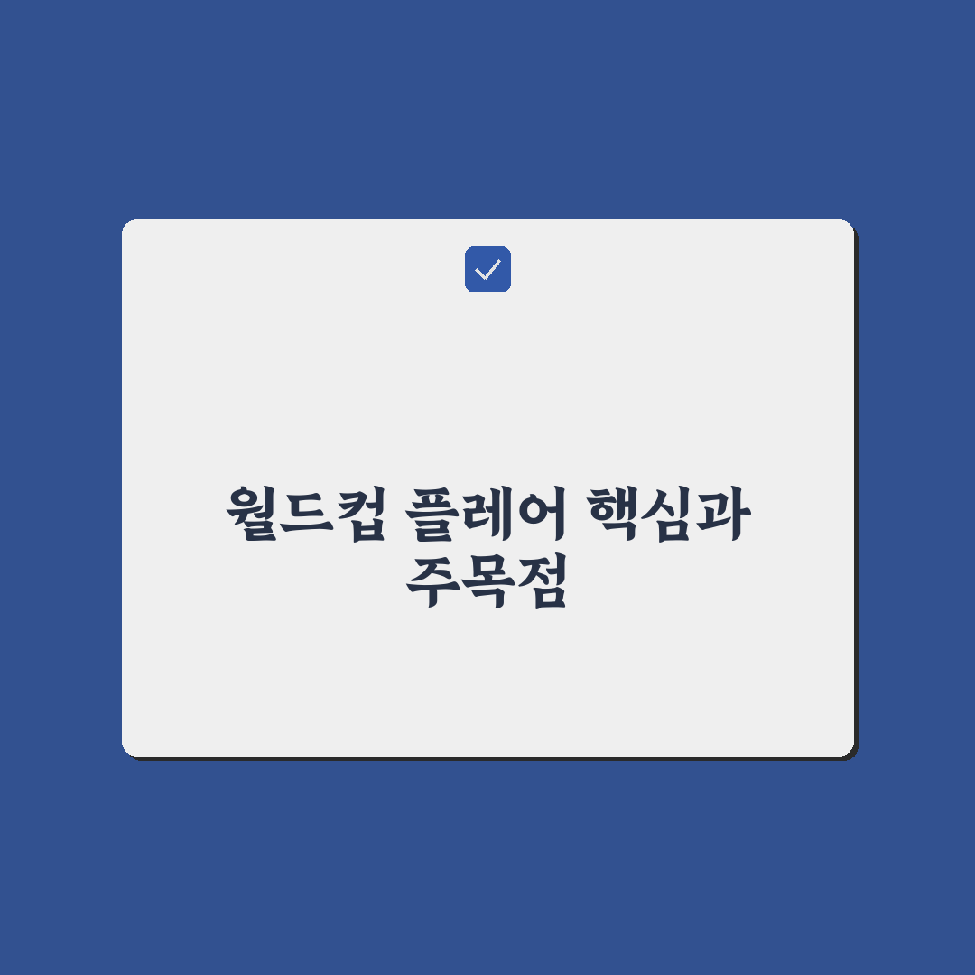 월드컵 플레어 5가지 기준별 비교 분석 가이드