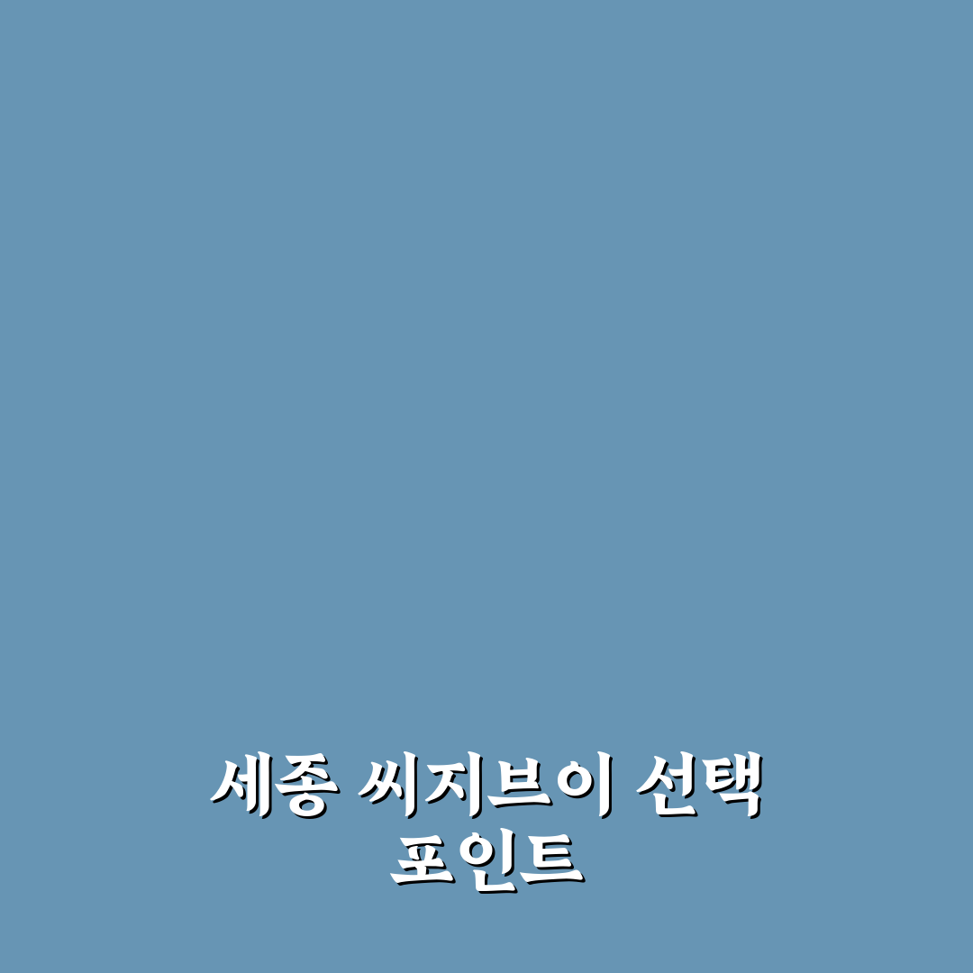 세종 씨지브이 좌석별 특징과 가격 비교 총정리