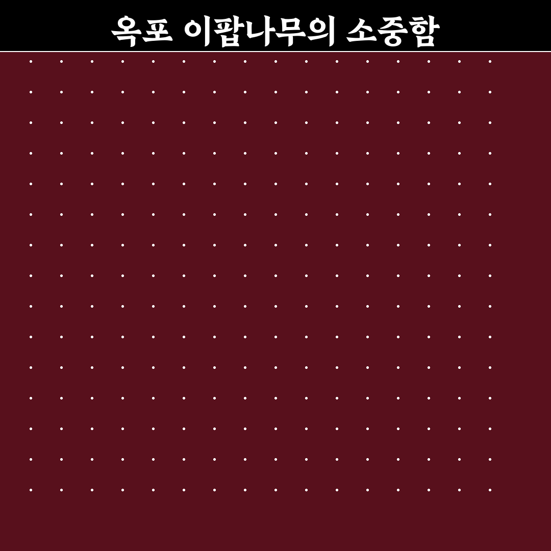 옥포 이팝나무 군락지 방문 전 체크포인트 5가지 분석