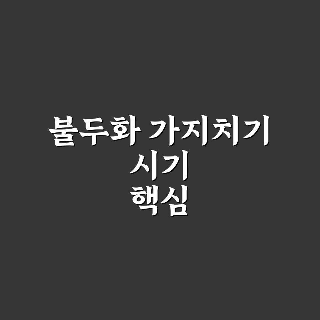 불두화 가지치기 시기 기준과 관리 체크포인트 분석