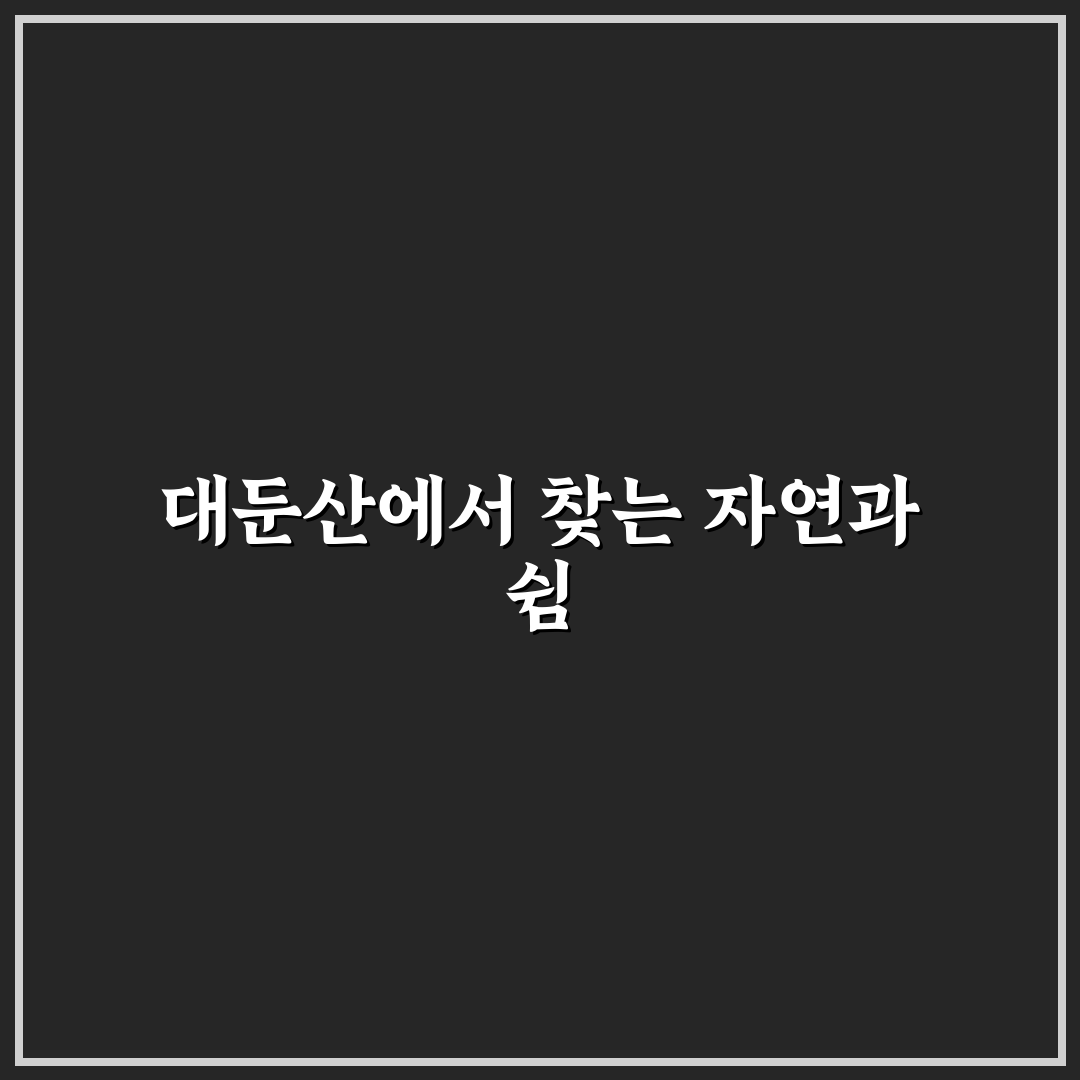 대둔산 자연휴양림 시설과 접근성 5가지 기준 비교 분석