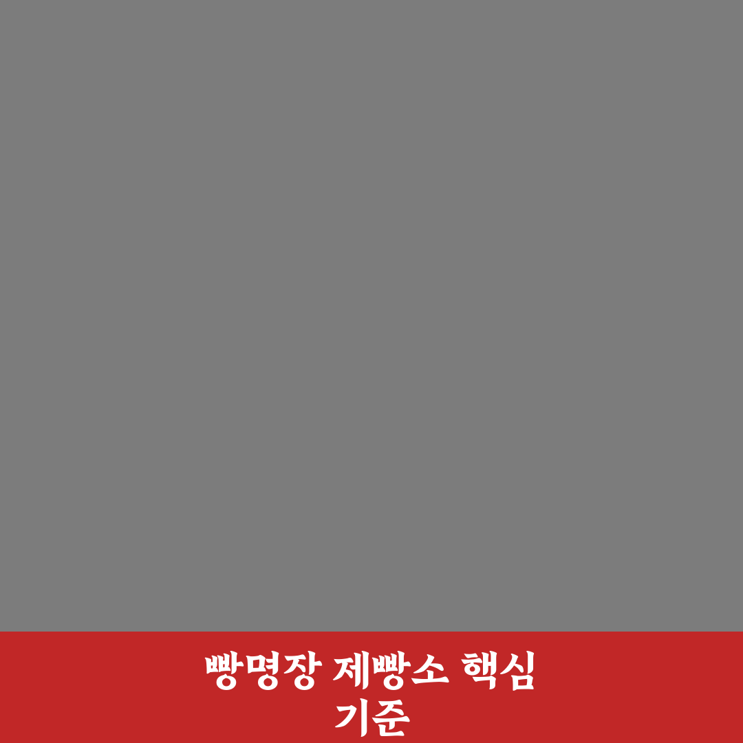 빵명장 제빵소 품질과 맛 비교 분석 가이드