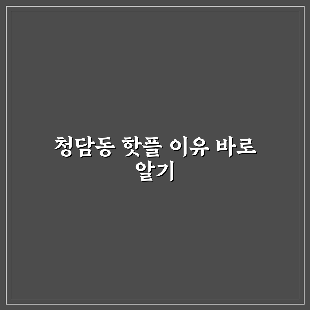 청담동 라우라우 방문 전 알아야 할 5가지 체크포인트