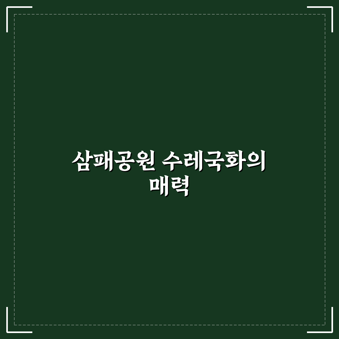 삼패공원 수레국화 재배 5가지 기준과 성장 분석