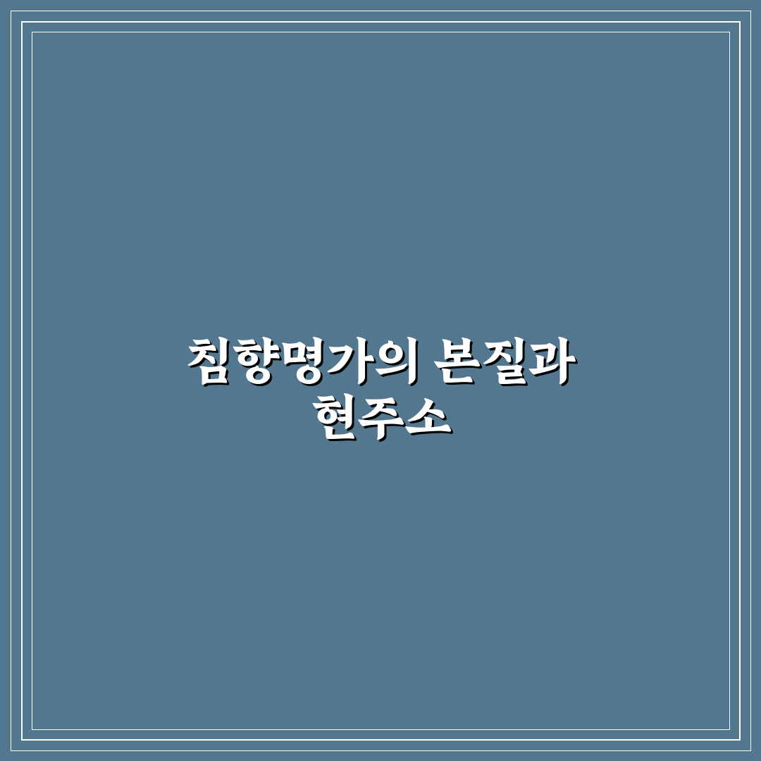 침향명가 품질과 가격 비교 기준 5가지 총정리