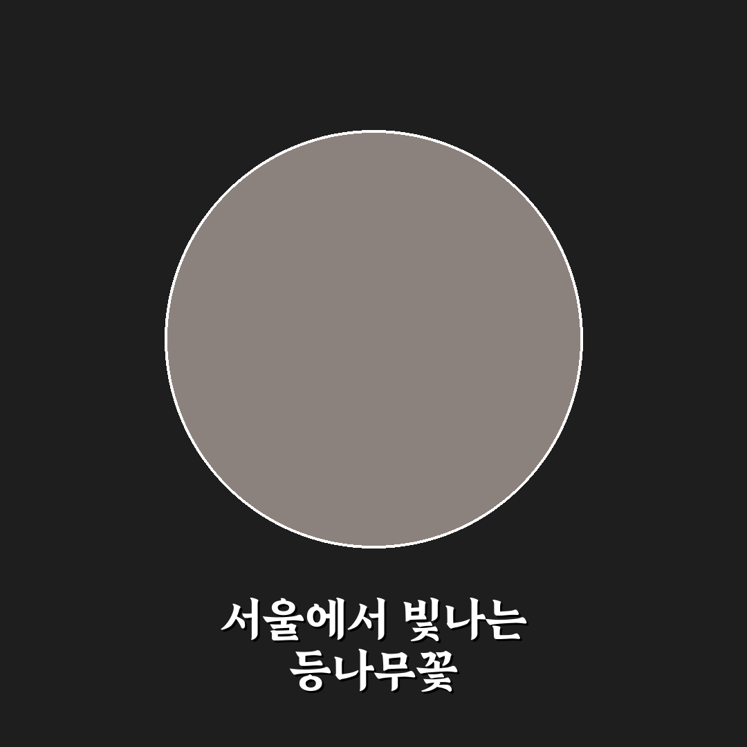 등나무꽃 서울 명소 5가지 비교 분석 가이드