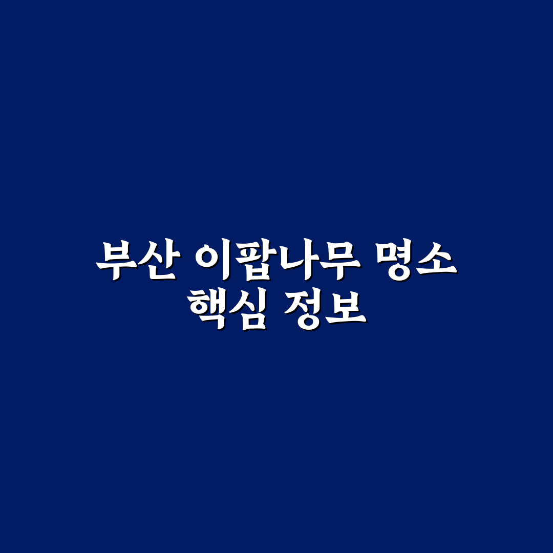 부산 이팝나무 명소 5가지 비교 및 방문 기준 총정리