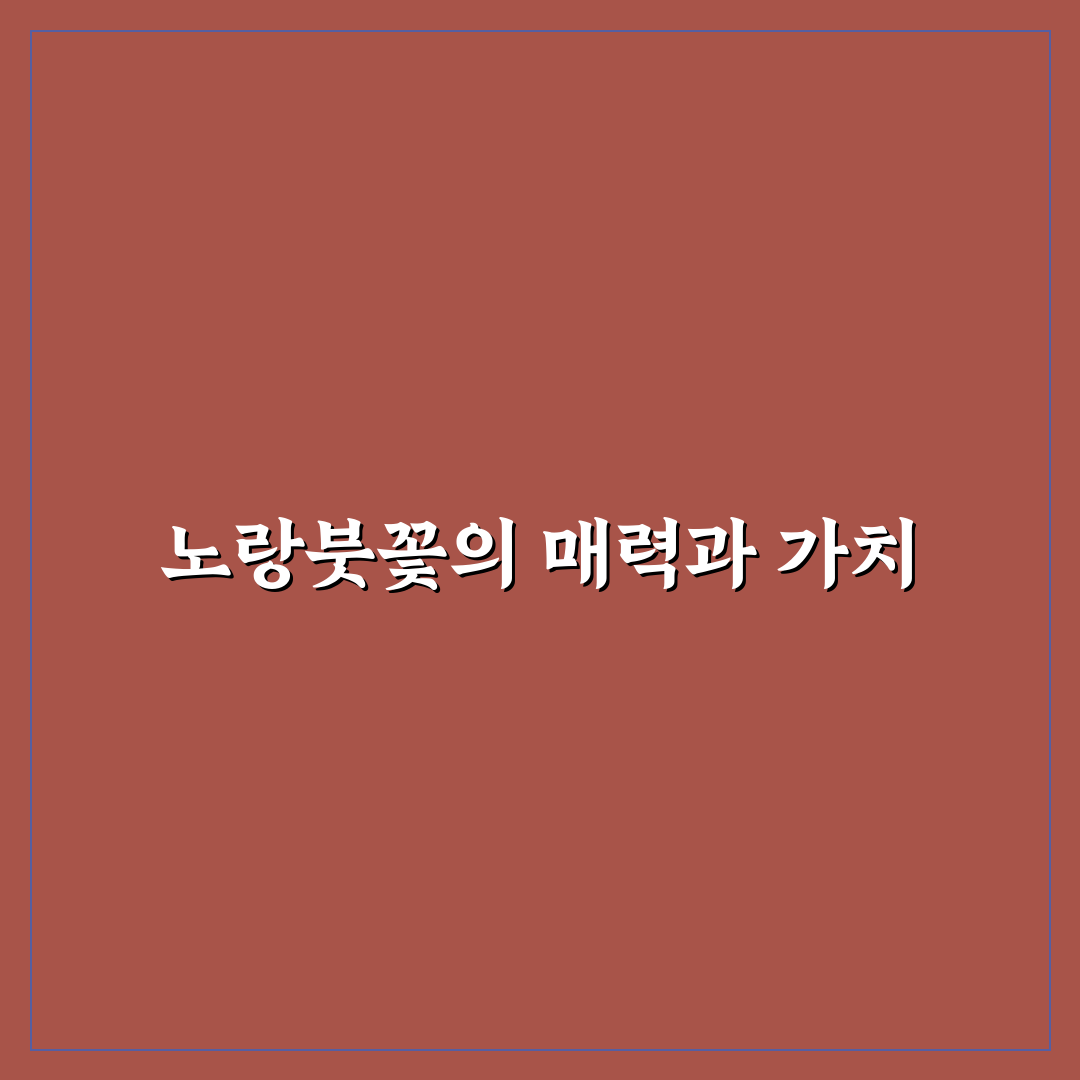 노랑붓꽃 성장 환경과 관리 기준 5가지 분석