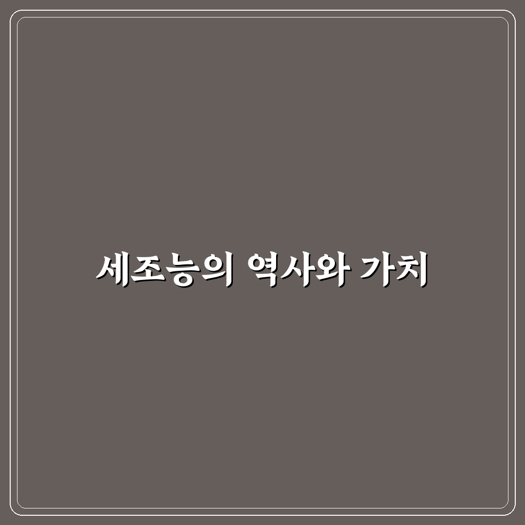 세조능 방문 전 체크포인트와 역사적 의미 분석