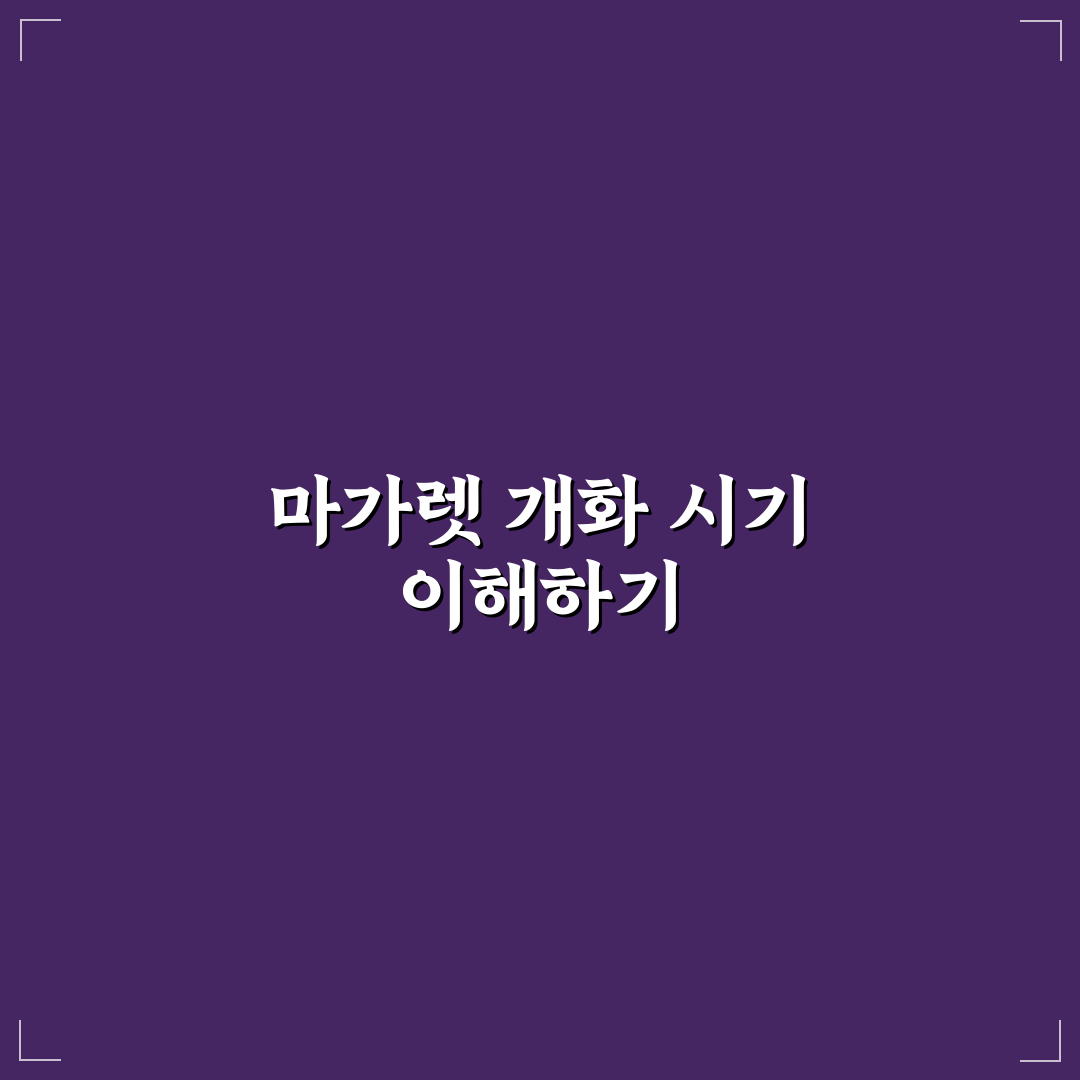 마가렛 꽃 피는 시기별 특징과 관리 가이드 총정리