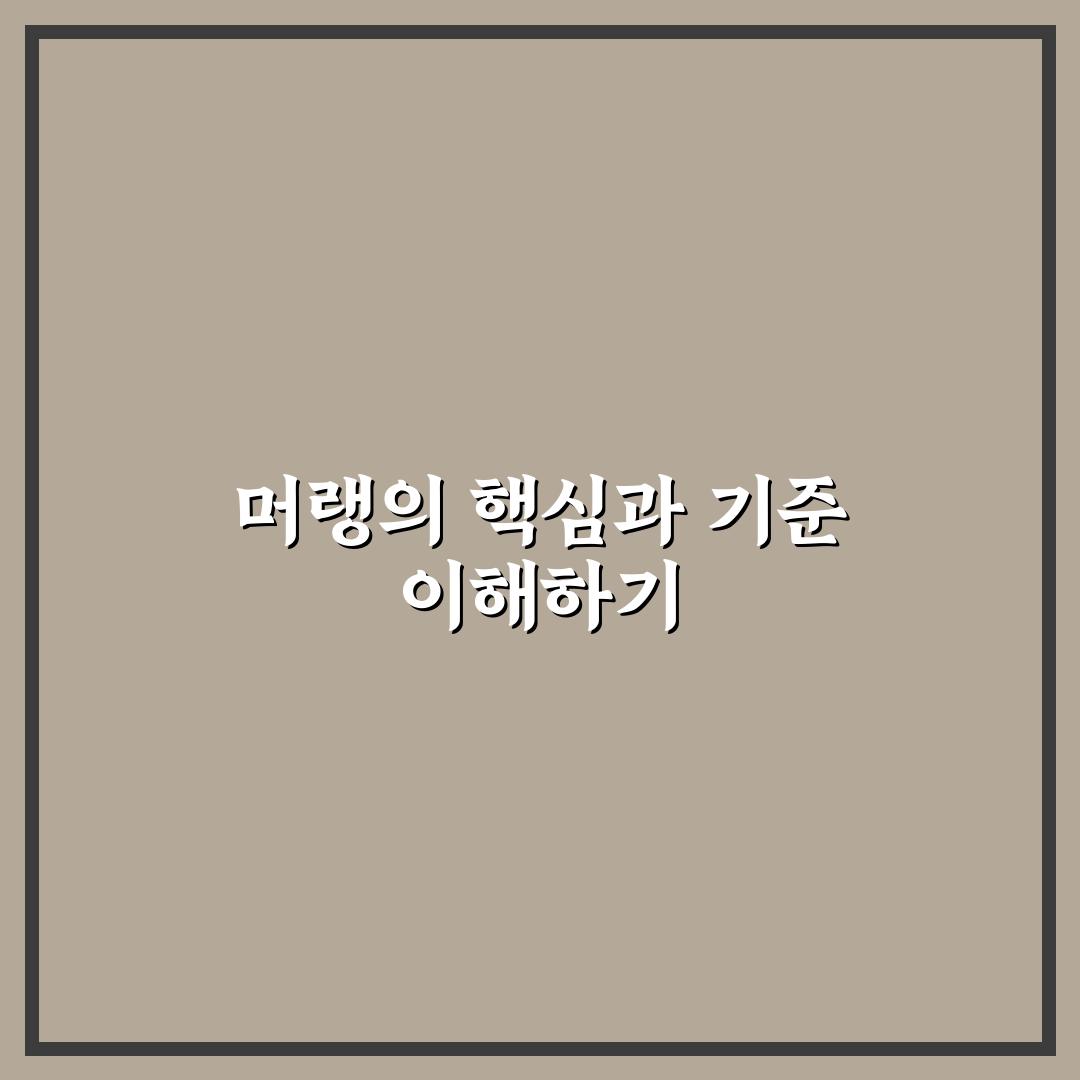 머랭그 비교와 분석을 위한 5가지 체크포인트 총정리