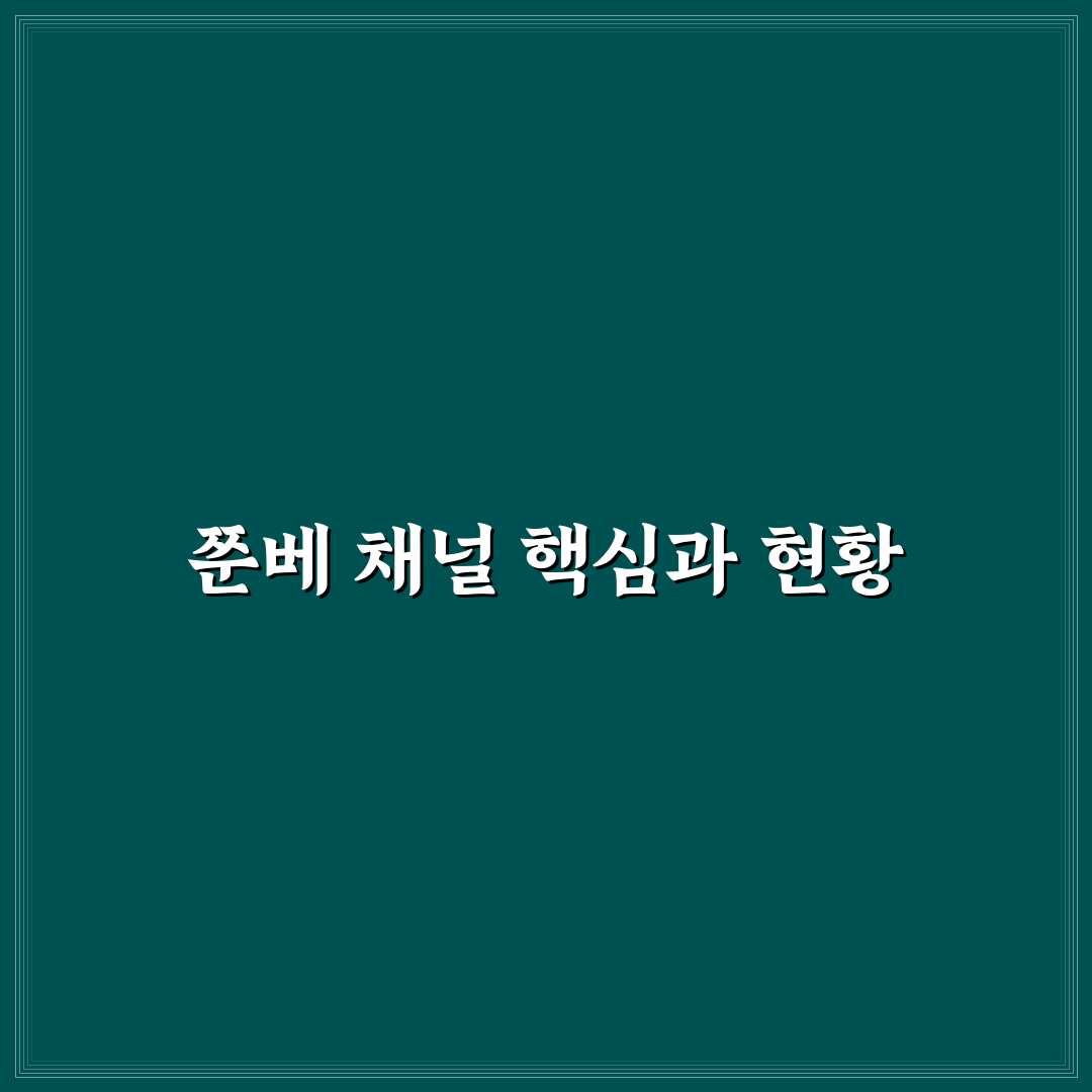 유튜버 쭌베 콘텐츠 구성과 성장 전략 5가지 기준 분석