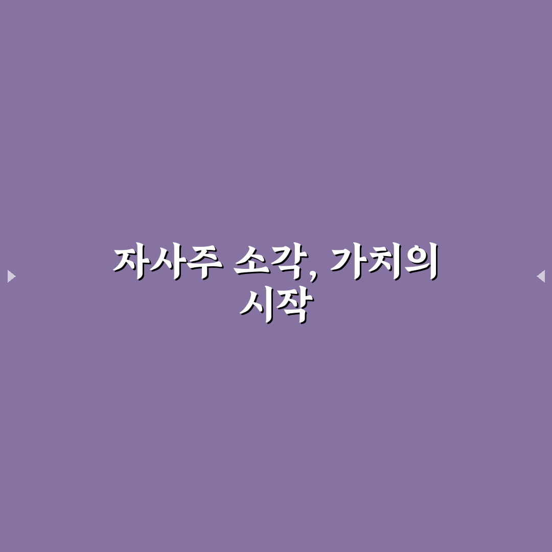 신영증권 자사주 소각 5가지 분석과 투자 판단 기준
