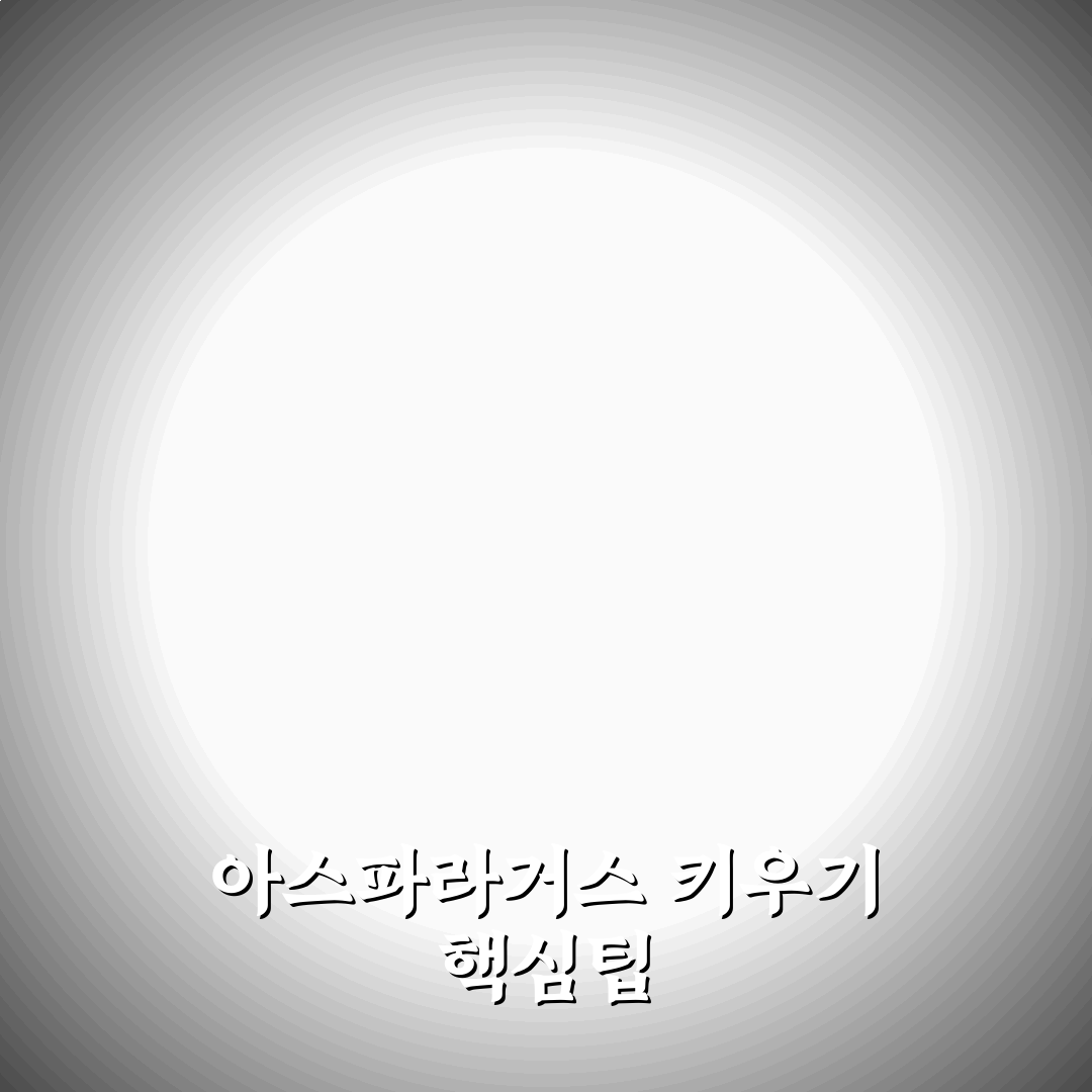 아스파라거스 나누스 키우기 비교와 관리 가이드 5가지 기준
