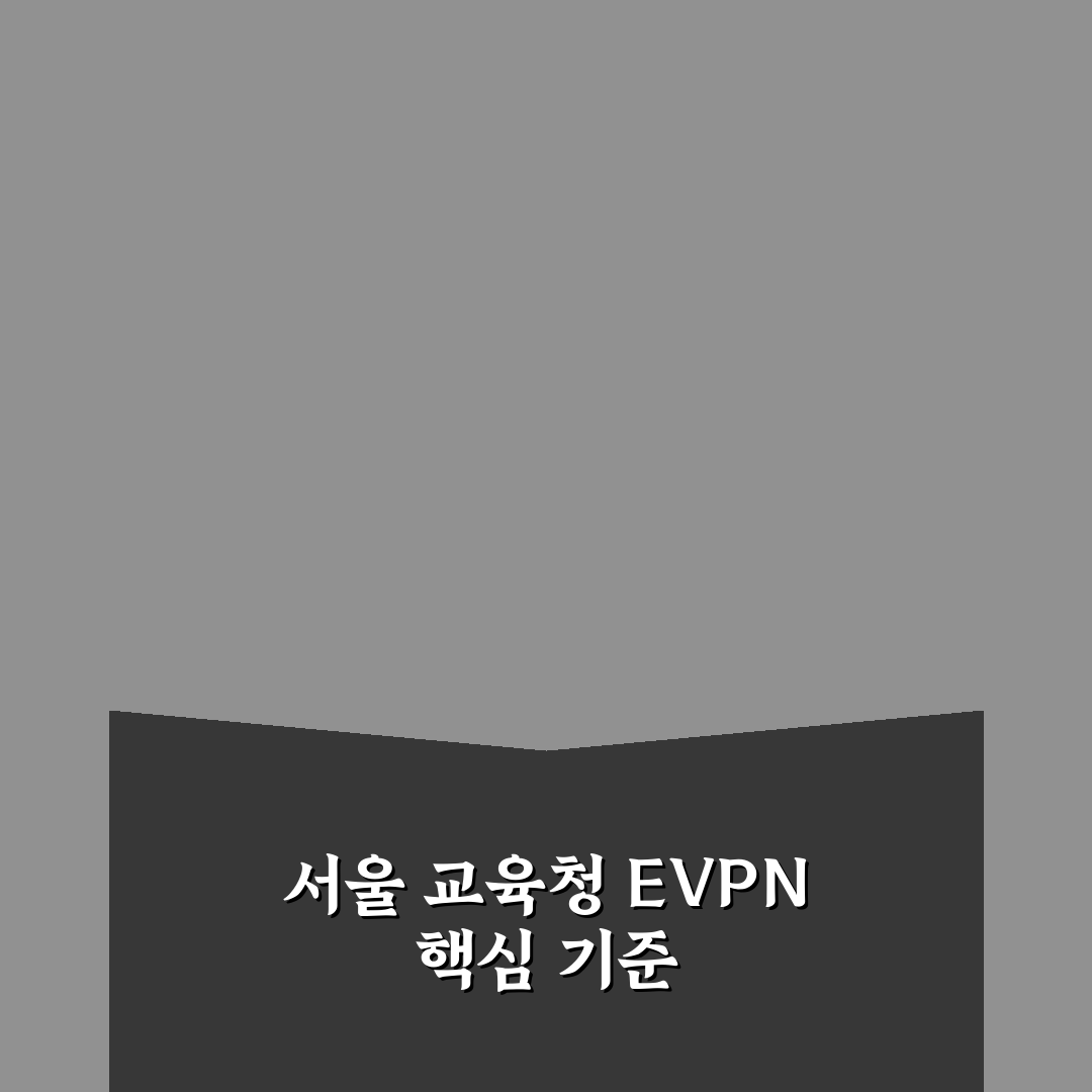 서울특별시 교육청 EVPN 도입 비교와 구축 기준 총정리